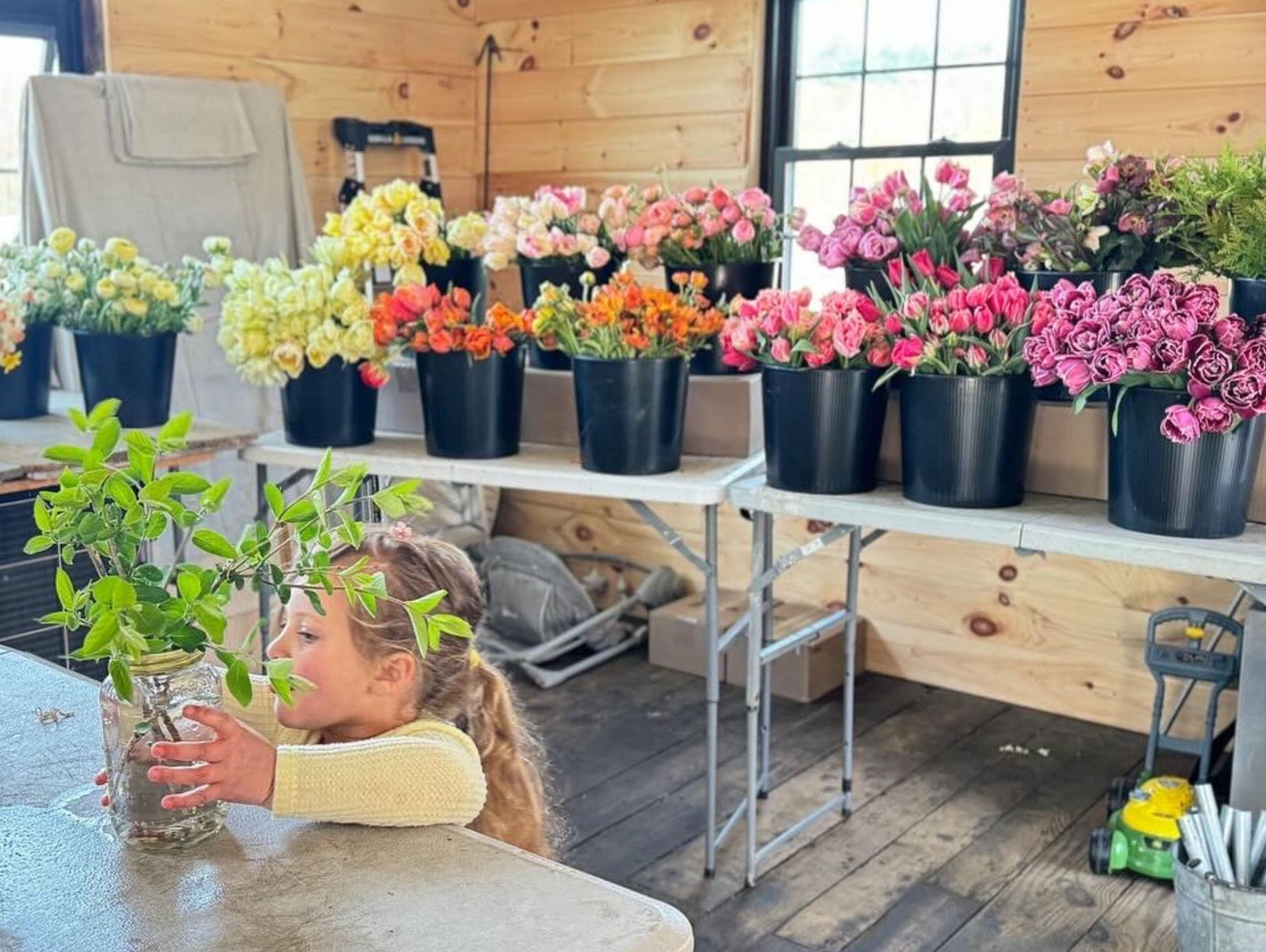 Blooms, Buds, and Busy Days