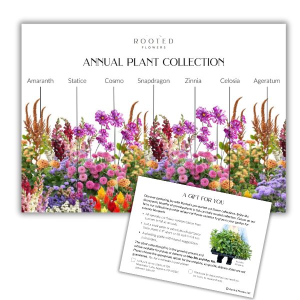 Plant Collection Gift Card