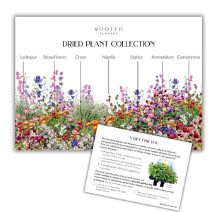 Plant Collection Gift Card