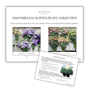 Plant Collection Gift Card