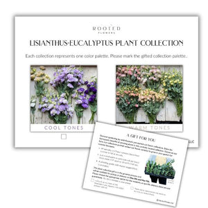 Plant Collection Gift Card