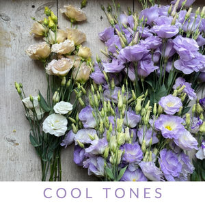 Lisianthus-Eucalyptus Plant Collection
