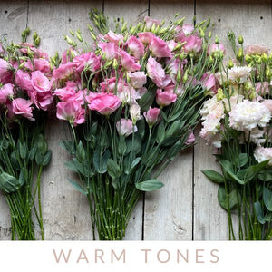 Lisianthus-Eucalyptus Plant Collection