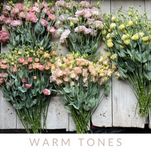 Lisianthus-Eucalyptus Plant Collection