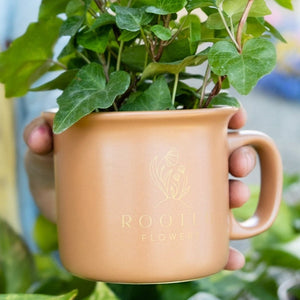 A coffee mug with a plant