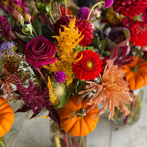 Rooted Flowers Dahlia Lollipop