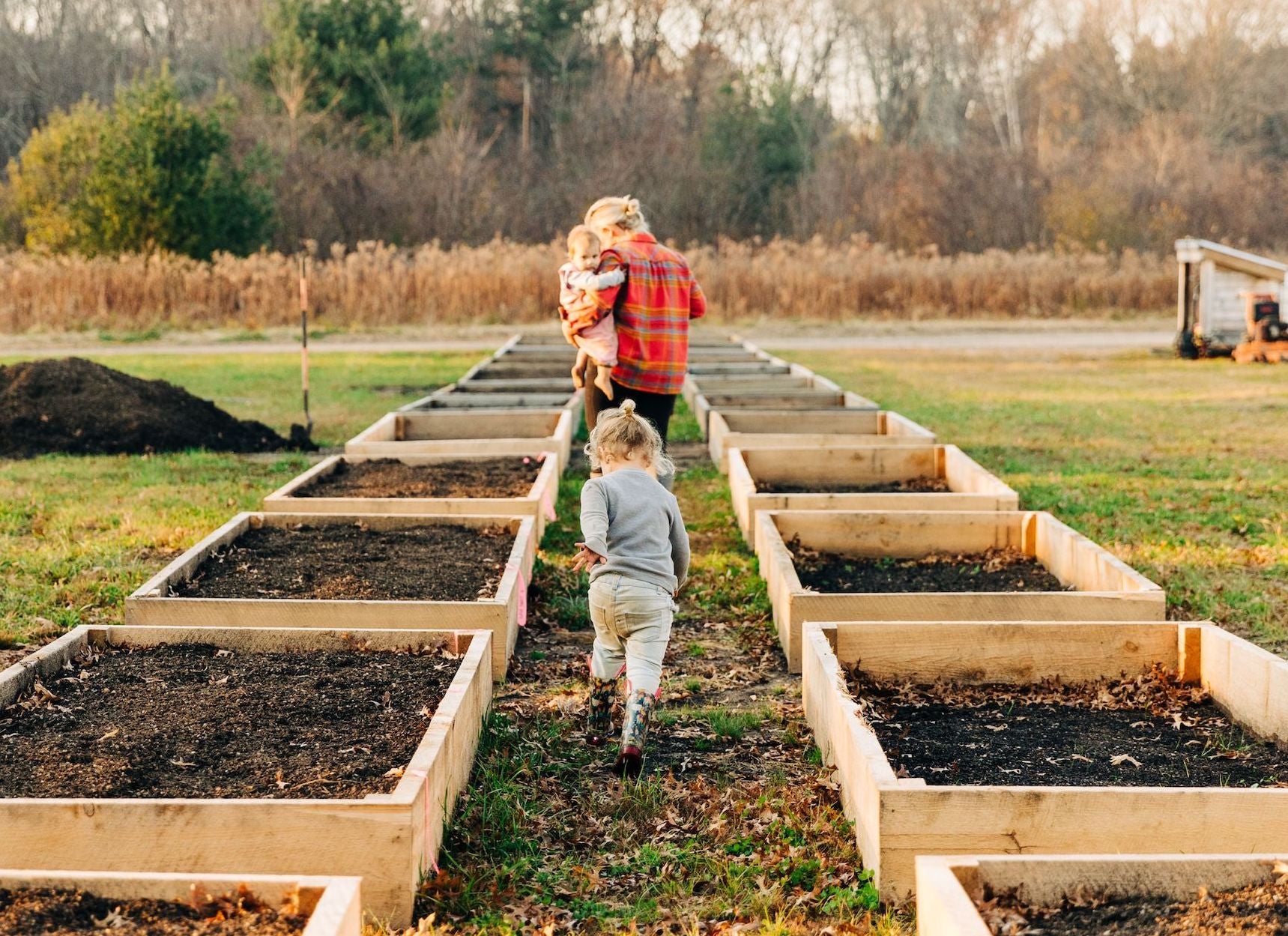 Raised Bed Gardens Made Easy - Rooted Flowers