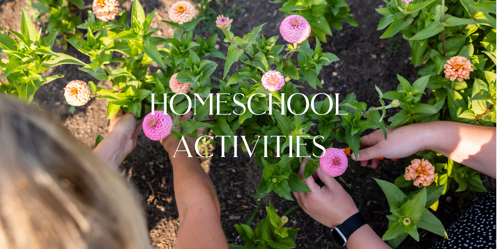 Homeschool farm day at Rooted Flowers in Agawam MA