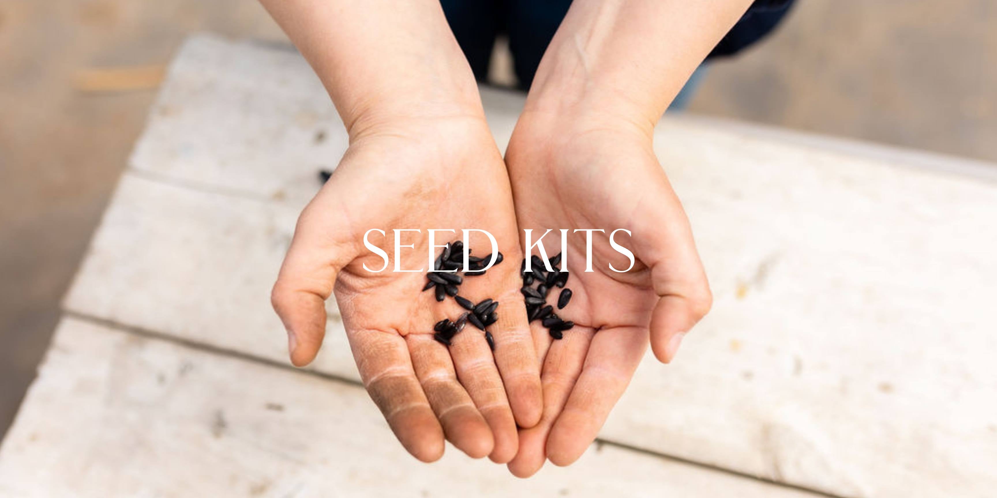 Seed Kits Rooted Flowers