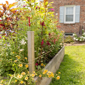 Easy Blooms for the Busy Bee: Build a Low-Maintenance Raised Bed for Stunning Cut Flowers