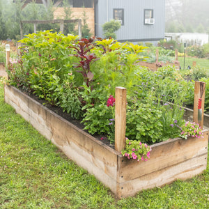 Easy Blooms for the Busy Bee: Build a Low-Maintenance Raised Bed for Stunning Cut Flowers