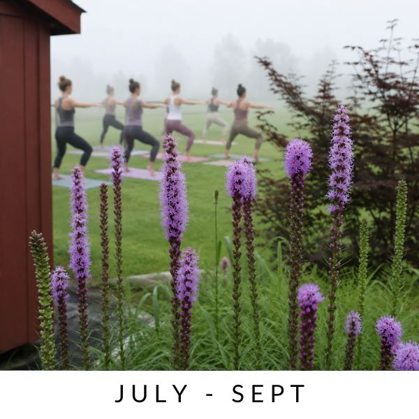Barre in Bloom