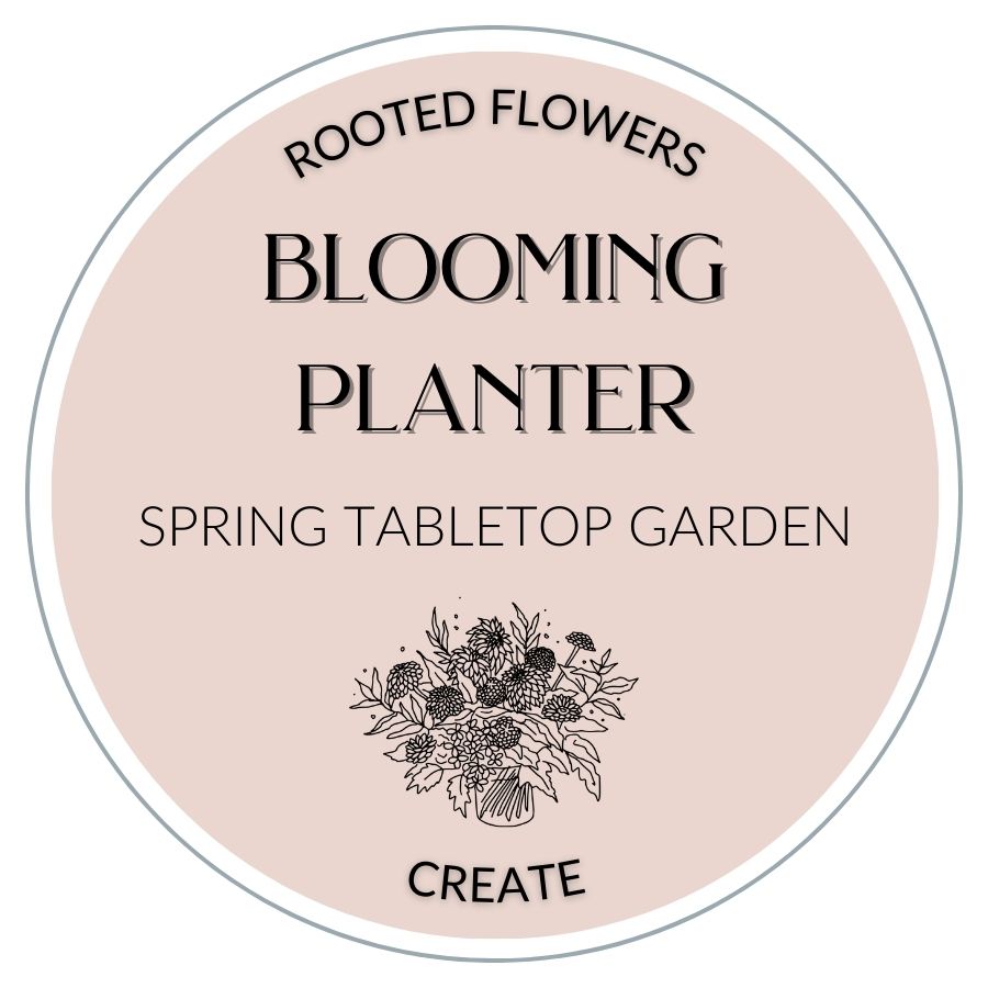 Blooming Planter: Spring Tabletop Garden