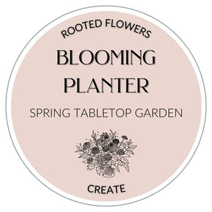 Blooming Planter: Spring Tabletop Garden