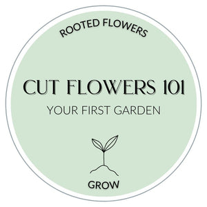 Cut Flowers 101: Your First Garden