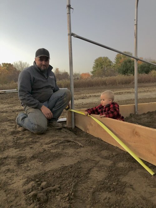 A father and young child measuring a wooden baseboard while building a greenhouse.