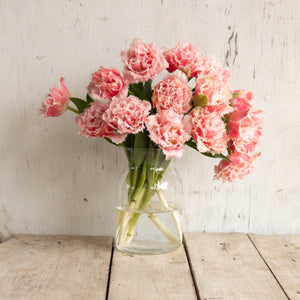 Novelty Tulip Subscription (Jan-March)