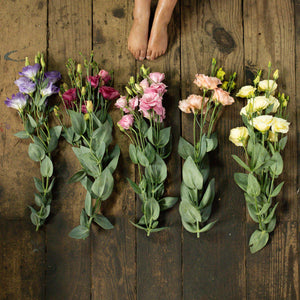 Lisianthus-Eucalyptus Plant Collection