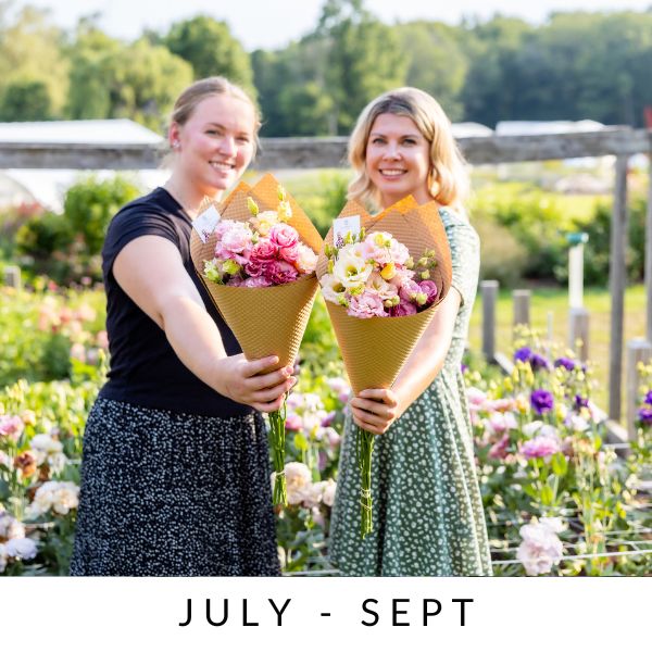 Pick-Your-Own Flower Experience