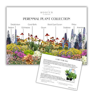 Plant Collection Gift Card