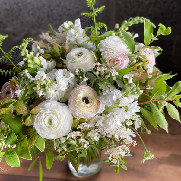Ranunculus 'LaBelle White' Corms - Rooted Flowers