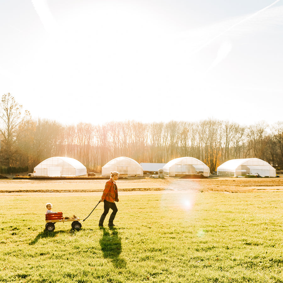 A family enjoying open space at the Rooted Flowers farm