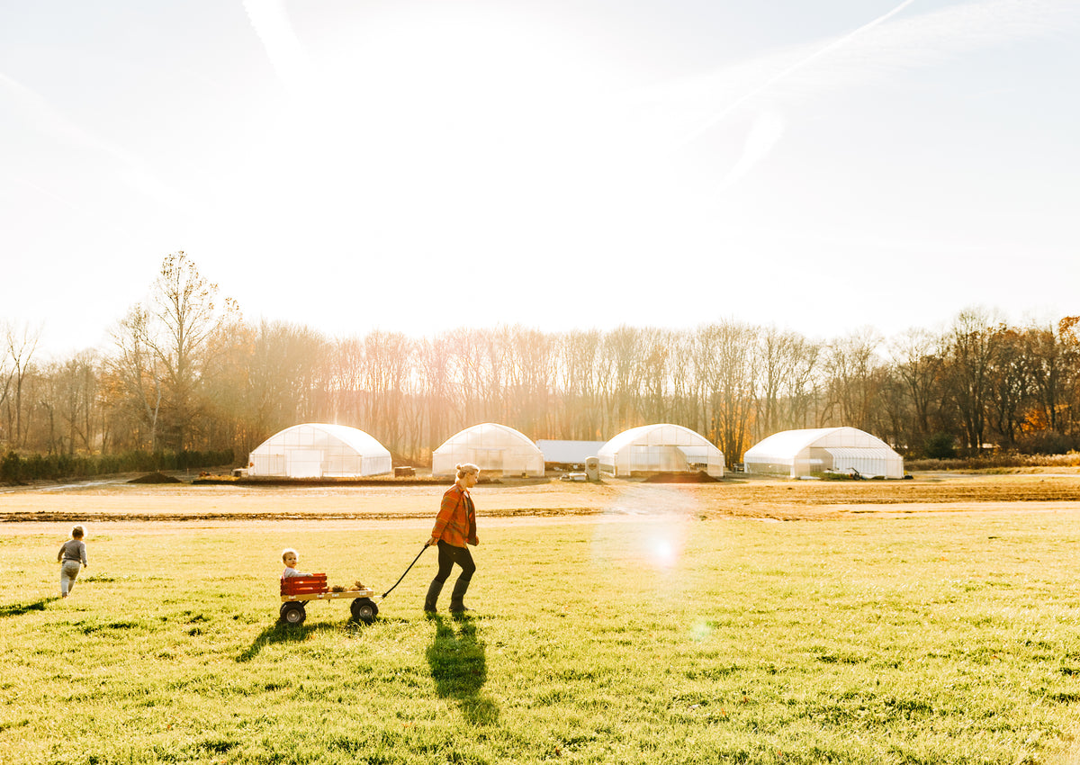A family spending time on the grass at Rooted Flowers