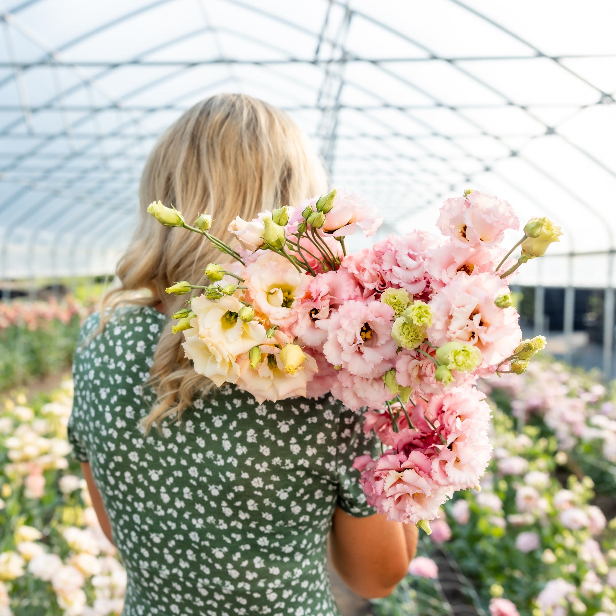 Woman holding a bouquet of pink flowers in a greenhouse