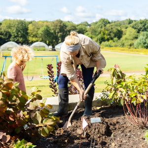 Landscaping for Cut Flower Gardening (Cottage Gardens)