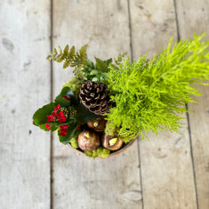 Medium Paperwhite Flowering Centerpiece