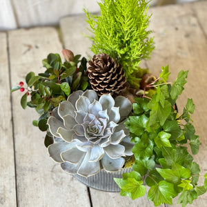 Large Paperwhite Flowering Centerpiece