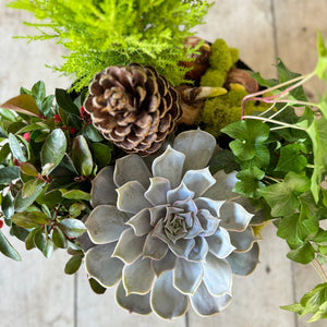 Large Paperwhite Flowering Centerpiece