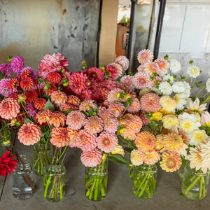 Dahlia Design Workshop: Low & Lush Centerpiece
