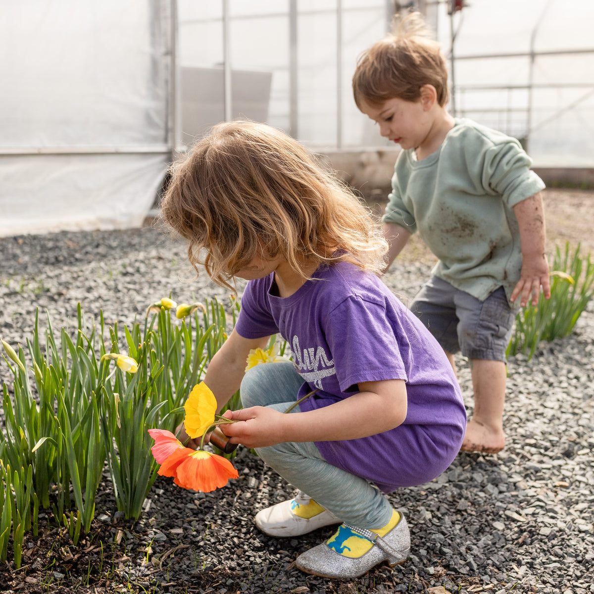 Children learning together among plants in the greenhouse