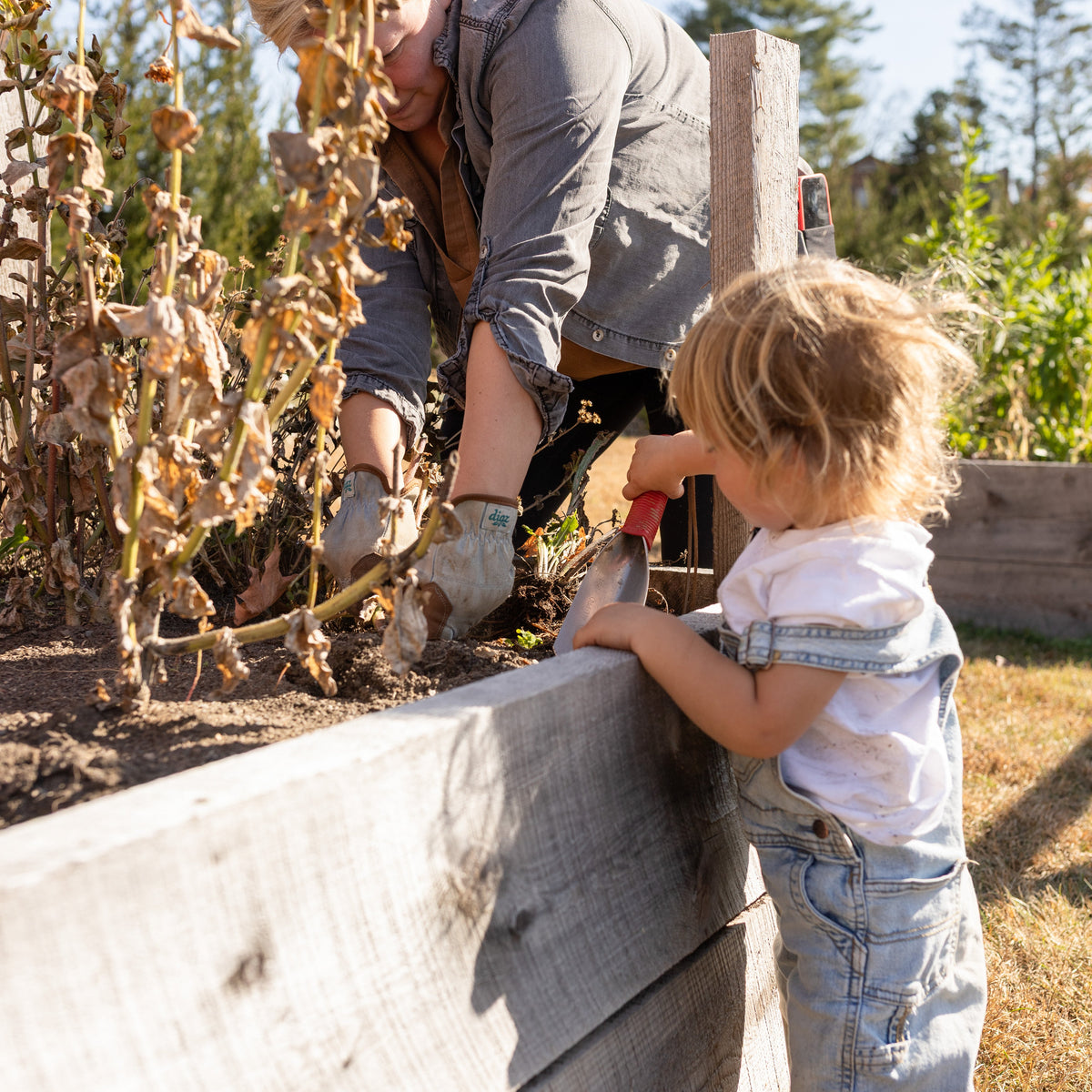 Child and grown-up working together in the garden