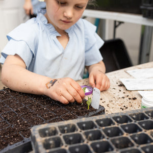 Child planting seeds in a seedling tray outdoors