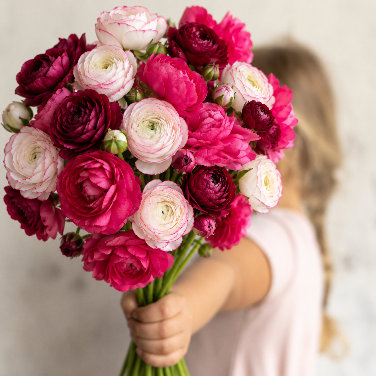 Corm Collection: Jewel Ranunculus — 60 Corms