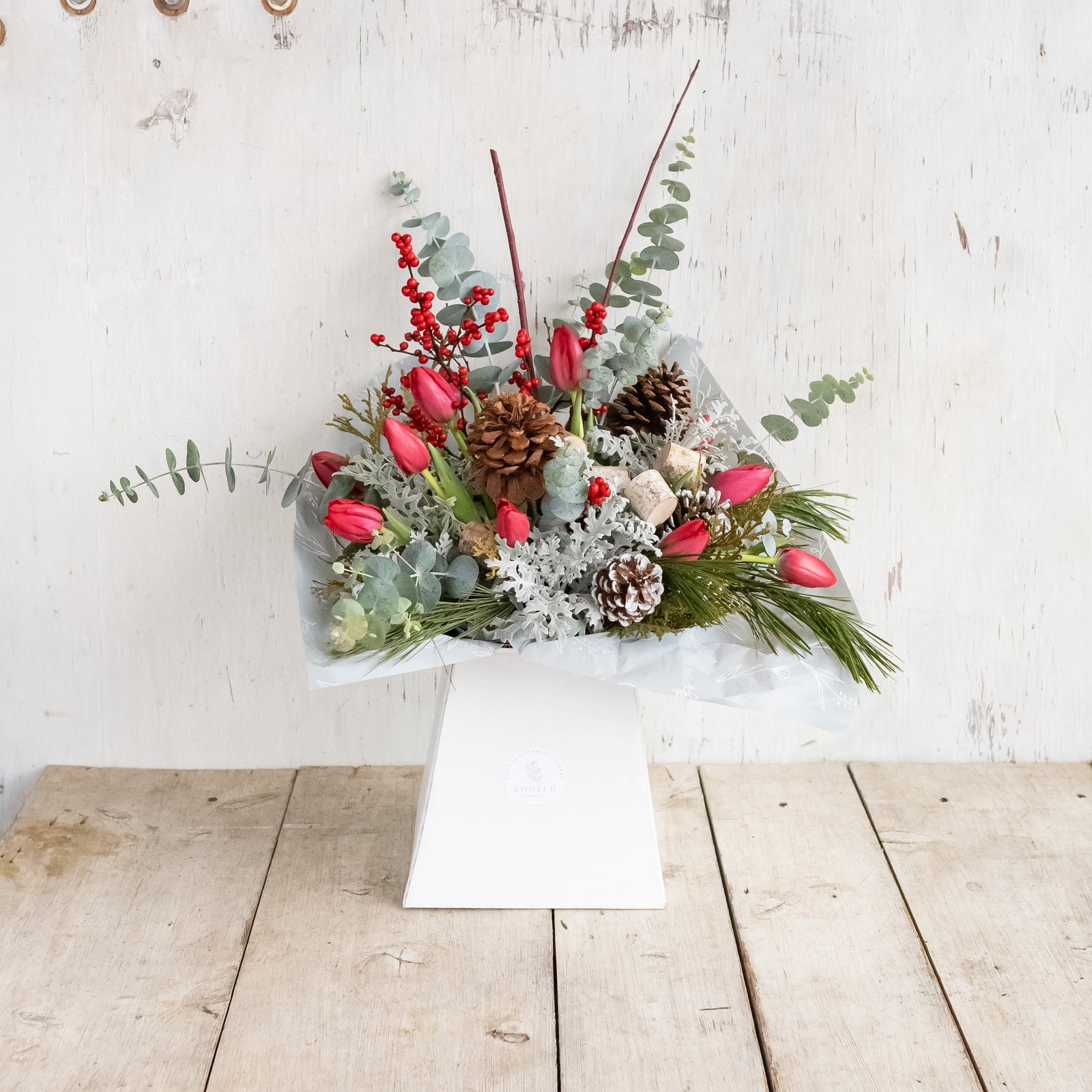 Winter Tulip Classic