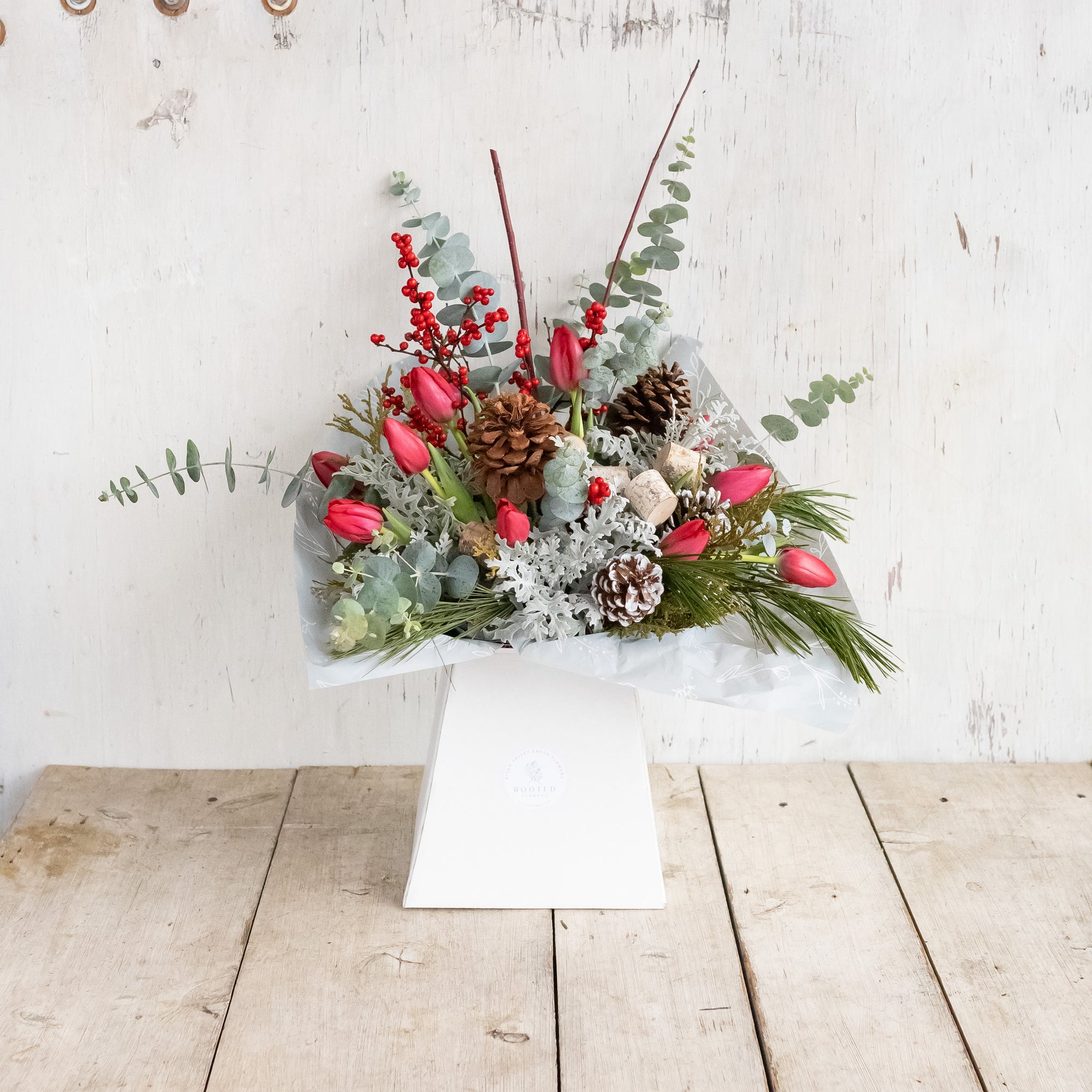 Winter Tulip Classic