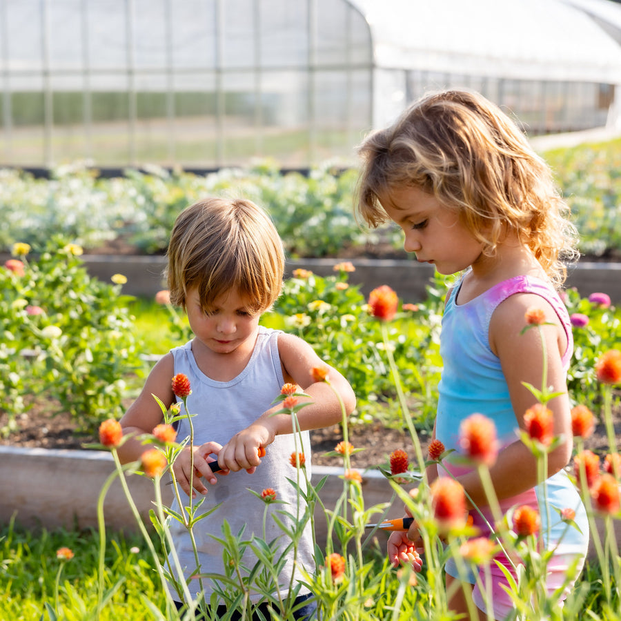 Two children gathering orange flowers together at Rooted Flowers