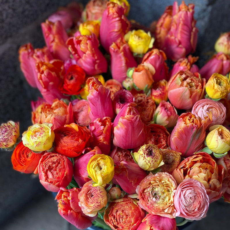 A full harvest bucket of pink, coral, orange and yellow tulips at Rooted Flowers