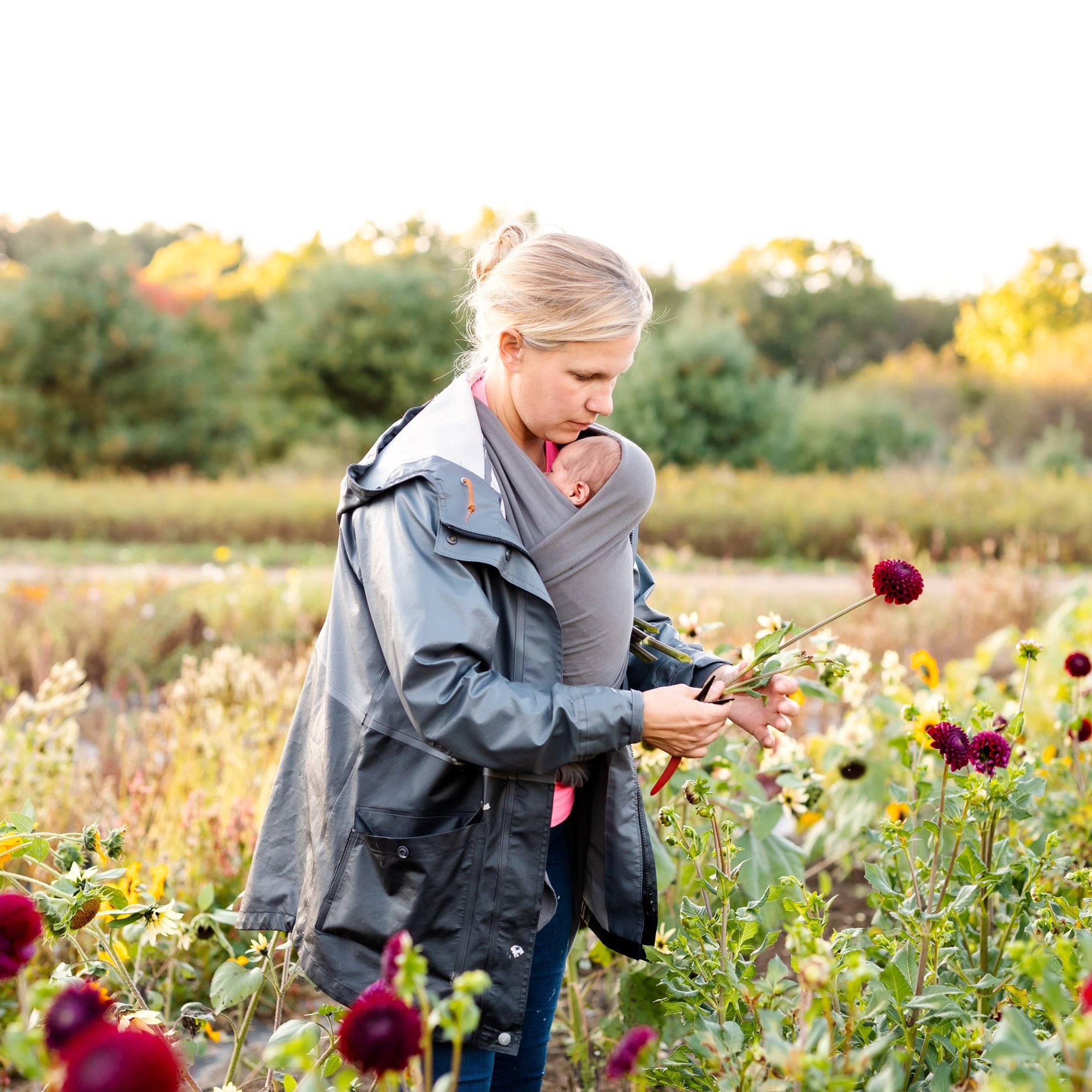 Pick-Your-Own Flower Experience – Coming Soon