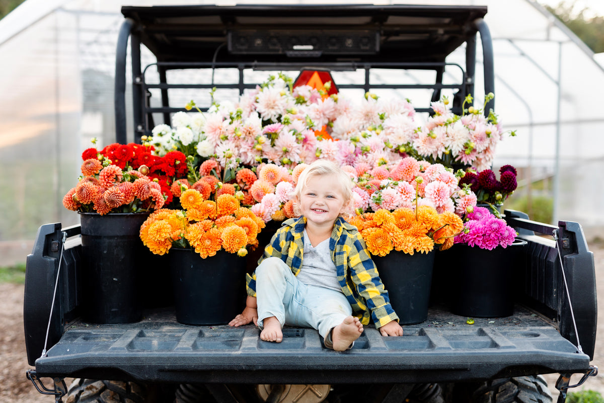 A Rooted child sitting among buckets of freshly harvested flowers on the farm