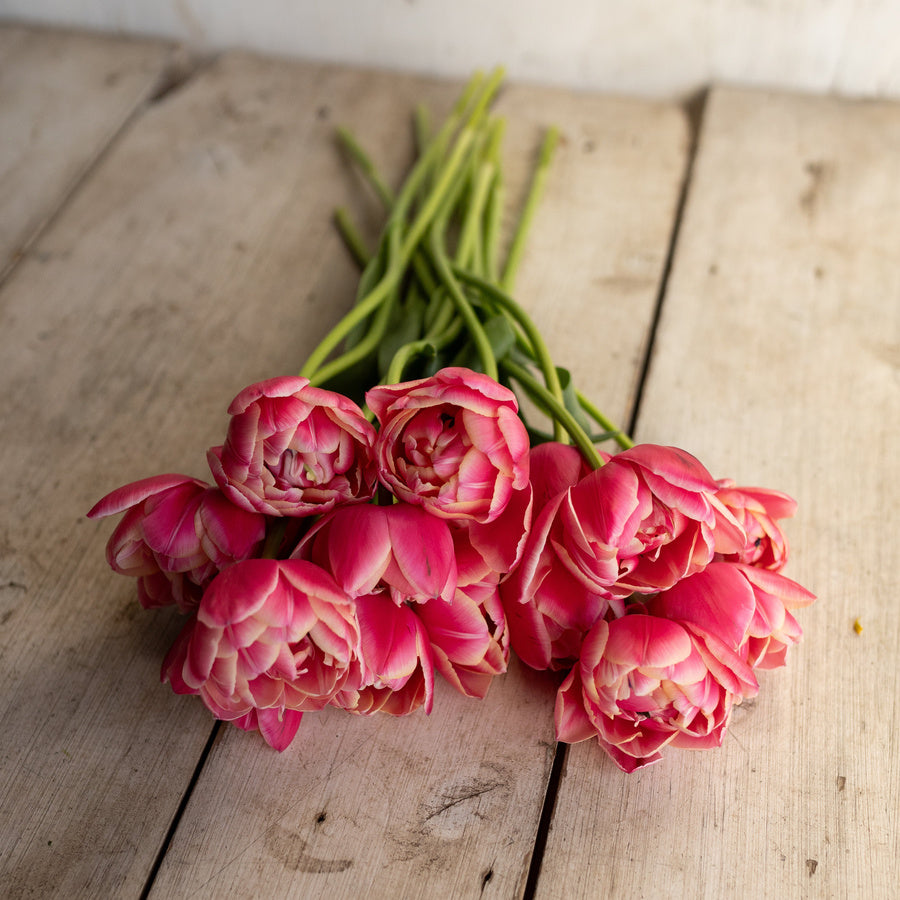 A bunch of raspberry-pink Columbus double tulips with cream-edged petals on a wooden surface.