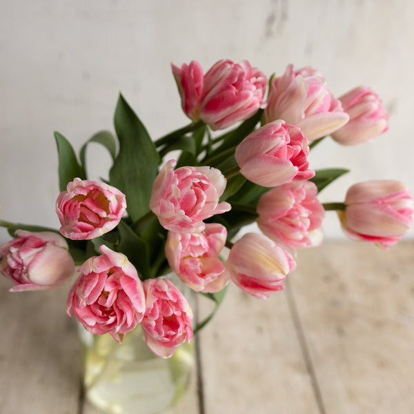A vase of pink Foxtrot double tulips with pale outer petals and deeper pink centers.