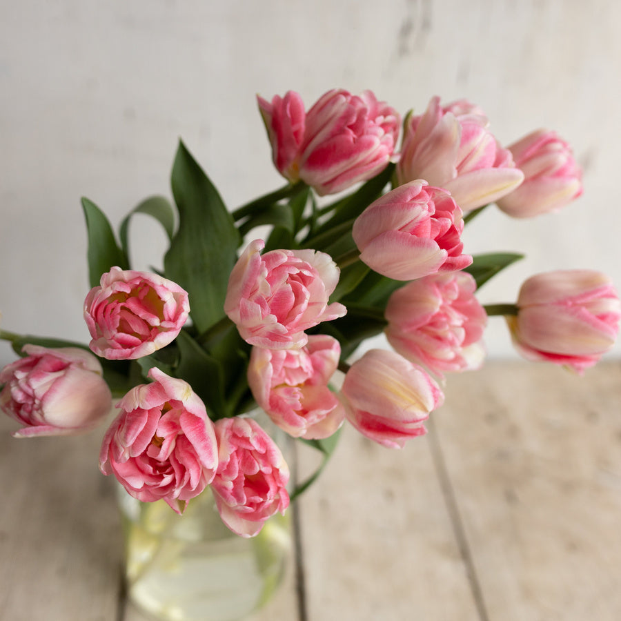 A vase of pink Foxtrot double tulips with pale outer petals and deeper pink centers.