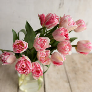 A vase of pink Foxtrot double tulips with pale outer petals and deeper pink centers.