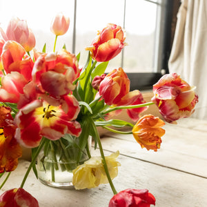 Novelty Tulip Subscription (Jan-March)