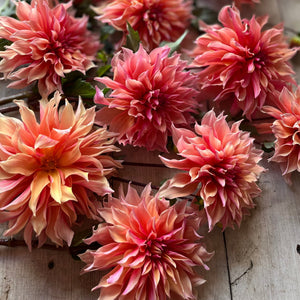 Rooted Flowers Dahlia Labyrinth
