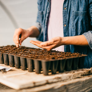 Mastering Seed Starting: A Hands-On Workshop for Flower Growers